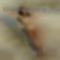 Horny capital region
