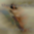 Horny sexy ladies from milfs between 40-68 from Spokane.
