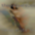 Naked sluts Trenton