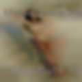 Naked sluts Trenton