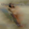 Single horny women Cheyenne
