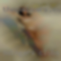 Swingers clubs Tehachapi